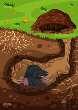 Underground mole in a tunnel