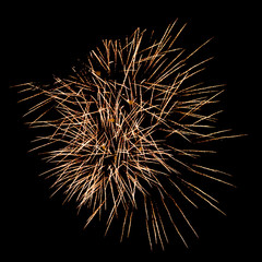 Obraz premium golden fireworks in black sky