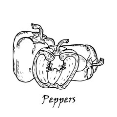 Hand drawn illustration of three  peppers