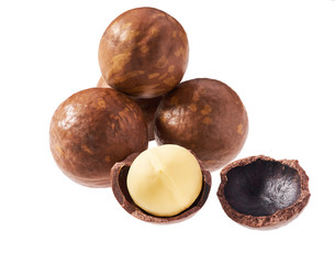 Macadamia nut on white background