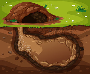 An Animal Underground Habitat on White Background