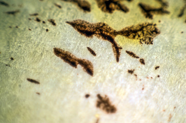 multi-colored paint on uneven surface