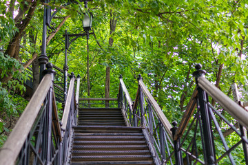 Steel staircase in the forest, surrounded by green trees.