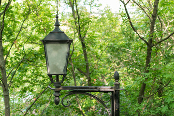 Old lantern on a pole in the forest.