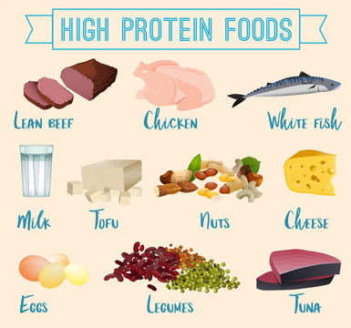 High Protein Foods Set