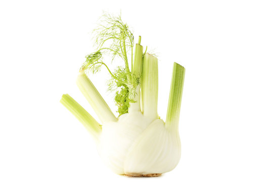 Ripe fennel bulb isolated on white background