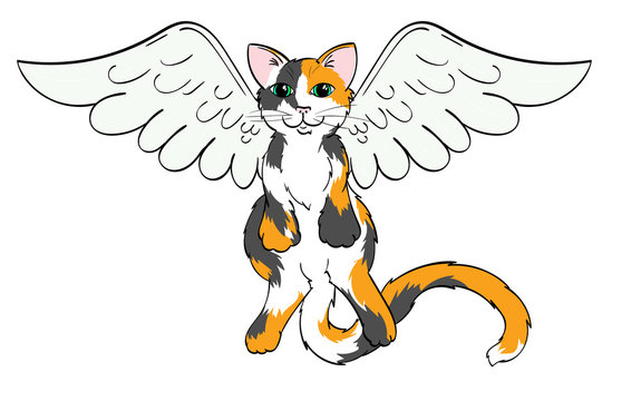 Calico Angel Cat