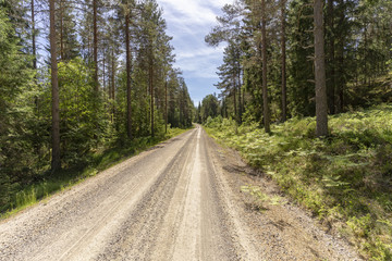 Fototapeta na wymiar Natur Reservat Glaskogen Schweden