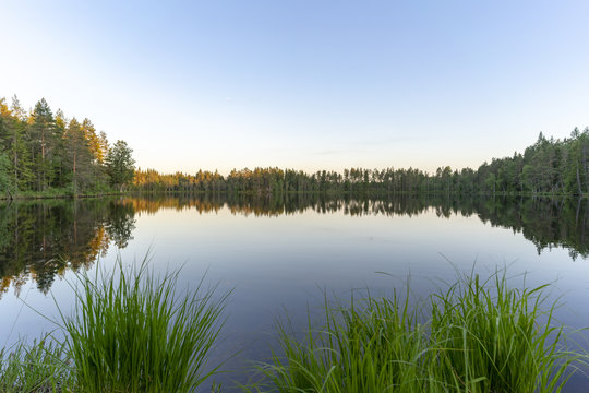 Natur Reservat Glaskogen Schweden