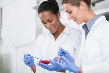 Women researchers in laboratory talking about tests on germ samples