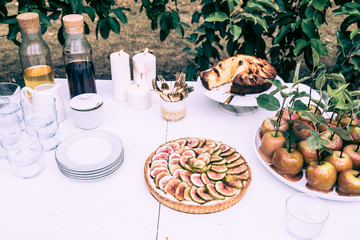 Picnic table in orchard of cakes annd dessert