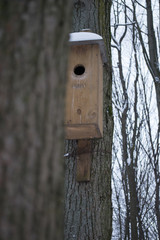 birdhouse