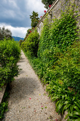 Fototapeta na wymiar Beautiful peaceful alley at Isola Bella, Italy