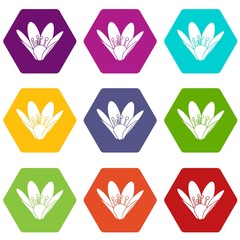 Fototapeta premium Eco flower icons 9 set coloful isolated on white for web