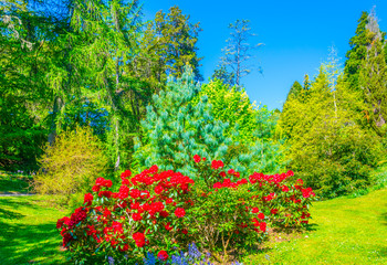 Gardens of the Powerscourt estate in Ireland