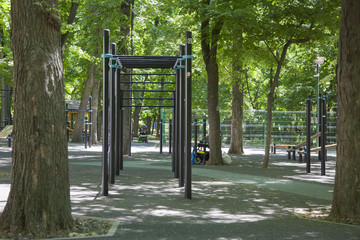 The park alley. The background is blurred