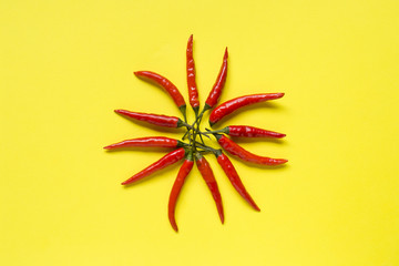 Red chili pepper pods on bright yellow background