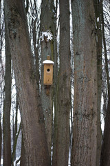 birdhouse