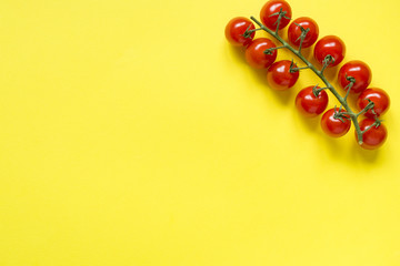 Small cherry tomatoes on a branch on a yellow bright background Copy space for text