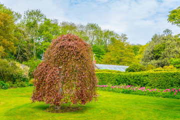 Talbot botanical garden in Malahide, Ireland