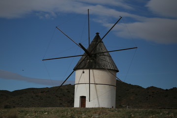 molino13