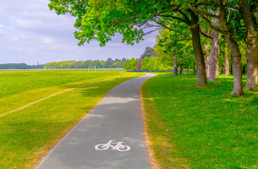 Phoenix park in Dublin, Ireland