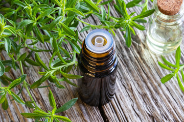 A bottle of mountain savory essential oil with fresh Satureja montana