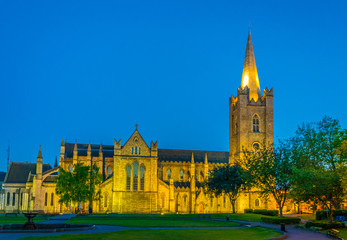 Naklejka premium Night view of the St. Patrick's Cathedral in Dublin, Ireland