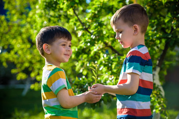 People holding young plant in hands against green spring background. Earth day ecology holiday concept