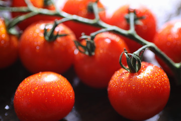 Branch with fresh cherry tomatoes. Ripe red tomatoes. Tomatoes a