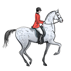 Rider man and dapple grey horse on white. Horseman in red jacket on stallion. England equestrian sport style. Hand drawing vector cartoon illustration.