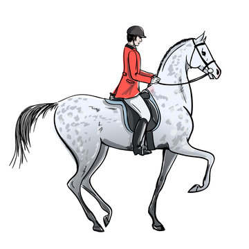 Rider man and dapple grey horse on white. Horseman in red jacket on stallion. England equestrian sport style. Hand drawing vector cartoon illustration.
