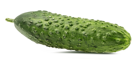 Fresh cucumber isolated on white background with clipping path