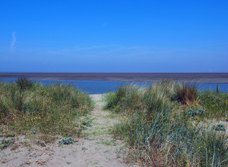 grass covered sand dune on the banks of the river wyre near fleetwood lancashire with calm blue water and sunlit sky