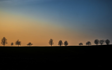 Fototapeta na wymiar Blue and orange sky with tree silhouettes