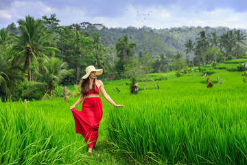 Beautiful young woman in red dress walk in rice terrace. Girl walk at typical Asian hillside with rice farming, mountain shaped green cascade rice field terraces paddies. Ubud, Bali, Indonesia.