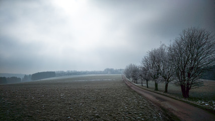 Foggy winter day