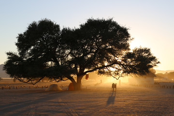 Afrykański wschód słońca - 209775445