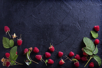 Raspberries on black background. Fresh ripe sweet berries. Selection of healthy food. Slate banner background. View from above, top studio shot, room for text © freeskyline