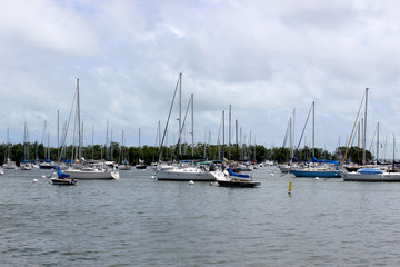 Fototapeta na wymiar Segelboote Miami Hafen