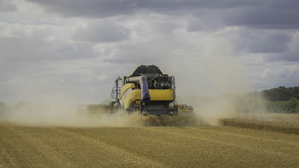 Fototapeta premium combine harvester in field