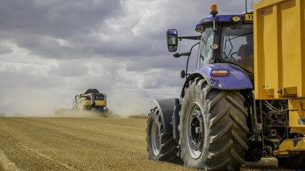 New Holland harvest