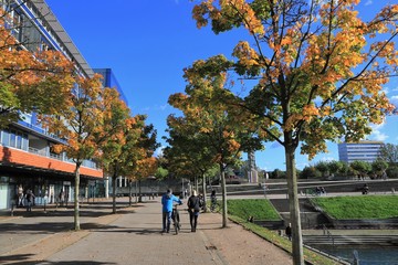 Germania Hafen Kiel im Herbst