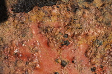 Texture de rouille