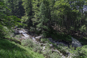 torrente