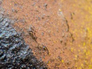 multi-colored paint on uneven surface