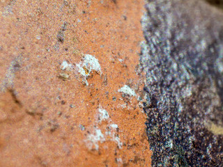 multi-colored paint on uneven surface