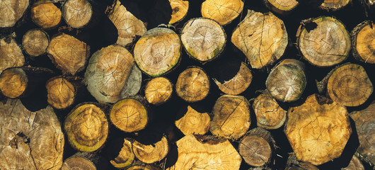 many sections of logs of firewood stacked in the open air, outdoors sun day concept, free space for text, wood texture on slices rural