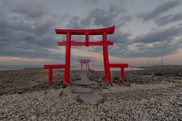 佐賀　海中鳥居