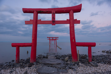 佐賀　海中鳥居